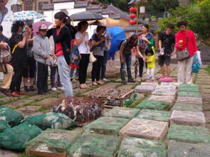 中国佛协回应放生大米行为